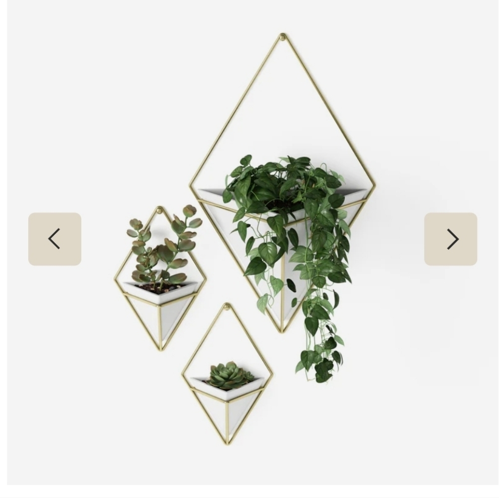 Umbra Trigg Wall Planter Set